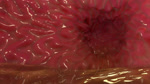 bodily_fluids digestion internal oral_vore prey_pov solo stomach_acid unseen_pred vore zero_pictured chioxin_(artist) chioxin 16:9 3d_(artwork) 3d_animation animated digital_media_(artwork) no_sound short_playtime webm widescreen