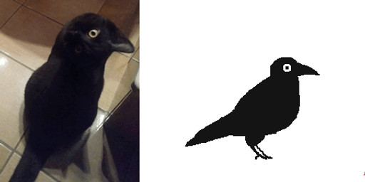 ambiguous_gender avian_feet beak black_beak black_ears black_tail comparison feathers feral illusion monotone_body photo red_tongue simple_background solo species_transformation tail tail_feathers tongue transformation white_background keke_(artist) avian bird corvid corvus_(genus) crow domestic_cat felid feline felis mammal oscine passerine animated frame_by_frame