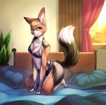 anthro arm_support barefoot bed bed_sheet bedding black_body black_claws black_fur black_nose bra breasts brown_body brown_fur canid canine canis chest_tuft claws cleavage clothed clothing day detailed_background digital_media_(artwork) dipstick_tail feet female fur furniture hi_res inner_ear_fluff inside jackal kneeling leaning leaning_forward light looking_at_viewer mammal markings multicolored_body multicolored_fur multicolored_tail panties pillow plant purple_eyes raised_tail shaded smile solo sunlight tail tail_markings talilly toes tuft underwear whisper_(gabrielofcreosha) white_body white_fur window