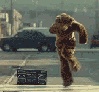 ambiguous_gender breakdancing clothing costume dancing electronics furry_lifestyle fursuit humor radio real sidewalk solo street unknown_artist jurassic_5 bear mammal animated grandfathered_content low_res short_playtime thumbnail