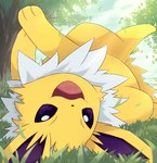 ambiguous_gender feral fur looking_at_viewer lying on_back purple_sclera quadruped solo upside_down white_body white_fur yellow_body yellow_fur rumine nintendo pokemon eeveelution generation_1_pokemon jolteon pokemon_(species)