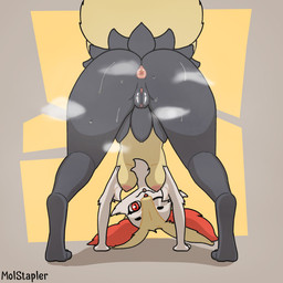 all_fours anthro anus areola big_butt biped bodily_fluids breasts butt digitigrade female female_anthro genitals hanging_breasts innie_vulva looking_at_viewer looking_back looking_back_at_viewer looking_back_through_legs looking_through_legs_at_viewer musky_butt nipples one_eye_closed presenting presenting_hindquarters solo sweat sweaty_butt text upside_down vulva wink winking_at_viewer molstapler nintendo pokemon braixen generation_6_pokemon pokemon_(species) 1:1 artist_name colored digital_media_(artwork) hi_res shaded