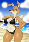 anthro beach big_breasts bikini breasts clothed clothing eyeshadow female fur lipstick looking_at_viewer makeup sand seductive smile solo sun swimwear tail two-piece_swimsuit dragonboy618 blinky_bill_(series) daisy_dingo canid canine canis dingo mammal digital_media_(artwork) hi_res signature