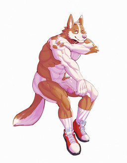 anthro athletic athletic_anthro athletic_male clothing footwear footwear_only foreskin fur genitals humanoid_genitalia kemono looking_at_viewer male mostly_nude multicolored_body multicolored_fur nude nude_anthro nude_male penis pink_nose pointy_ears shoes shoes_only sneakers sneakers_only socks solo tan_body tan_fur two_tone_body two_tone_fur white_body white_fur peapeafur canid canine canis domestic_dog mammal absurd_res hi_res