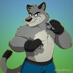 anthro bottomwear boxing_shorts clothing fur grey_body grey_fur humanoid_hands male shorts solo drawitandrew brok_the_investigator cowcat_games graff_filsh domestic_cat felid feline felis mammal 2023 hi_res