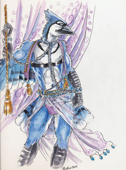 animal_genitalia anthro balls bdsm beak bondage bound bulge clothed clothing collar feathers genitals harem harem_outfit male penis penis_tip sheath skimpy smile solo submissive submissive_male translucent translucent_clothing heather_bruton avian bird blue_jay corvid jay_(bird) new_world_jay oscine passerine
