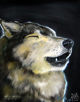ambiguous_gender black_background black_body black_fur black_lips black_nose ears_back eyes_closed feral fur lips logo open_mouth pivoted_ears simple_background solo white_body white_fur kola_(artist) canid canine mammal 2013 artist_logo dated signature traditional_media_(artwork)