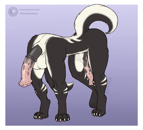2_penises 4_toes animal_genitalia animal_penis balls black_body blue_background border countershading equine_genitalia equine_penis feet frontal_taur_balls frontal_taur_genitals frontal_taur_penis genitals half-erect headless humor male multi_genitalia multi_penis nude penis shitpost simple_background solo thanks_i_hate_it toes unusual_anatomy unusual_genitalia_placement unusual_penis_placement what what_has_science_done where_is_your_god_now white_body white_border white_countershading why bloodandroses badger badger_taur mammal mustelid musteline taur 2025 hi_res meme