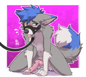 anthro ear_piercing genitals knot knotted_penis leash male muzzle_(object) muzzled penis piercing solo tongue tongue_out fenneckiro moon_(moonslurps) canid canine fox mammal hi_res