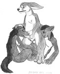 animal_genitalia animal_penis anthro anthro_on_anthro arm_support balls belly big_ears big_feet big_toes black_nose black_soles butt butt_sniffing canine_genitalia canine_penis claws dark_body dark_eyes dark_fur digitigrade eyes_closed feet fellatio fur genitals group group_sex holding_head holding_penis interspecies intimate leaning_on_elbow light_body light_fur male male/male mane nipples nude nuzzling open_mouth oral penile penis sex shy_expression simple_background sitting smile sniffing snout_fuck standing threesome toes trio white_belly white_body white_fur divdurvart ambiguous_species canid humanoid mammal monochrome