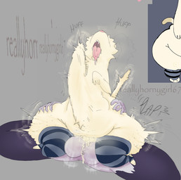 abdominal_bulge anthro belly big_butt big_penis bodily_fluids breath butt butt_grab butt_jiggle cum cum_while_penetrated drooling duo genital_fluids genitals hand_on_butt holding_butt huge_penis hyper hyper_genitalia hyper_penetration hyper_penis jiggling looking_up male male/male musk musk_cloud musky_cum musky_penis open_mouth panting penetration penis plap plap_(sound) plapping rough_sex saliva sex size_difference slightly_chubby slightly_chubby_male small_penis tongue tongue_out rllyhornygirl67 bark_(rllyhornygirl67) zack_(trashboat)