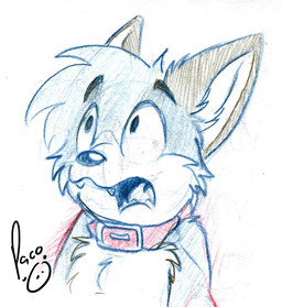 anthro cheek_tuft chest_tuft collar eyebrows facial_tuft fangs glistening glistening_nose head_tuft inner_ear_fluff logo male male_anthro open_mouth simple_background solo teeth tuft young young_anthro young_male pandapaco canid canine mammal 2015 artist_logo bust_portrait monochrome portrait signature sketch