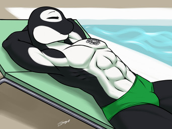 abs anthro beach_chair black_body bulge clothed clothing eyes_closed green_clothing green_speedo green_swimwear hands_behind_head lying male muscular muscular_male navel on_back pecs poolside serratus solo speedo swimming_pool swimwear tattoo furball jay_reynolds aquatic cetacean dolphin mammal oceanic_dolphin orca toothed_whale