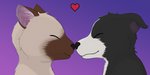 anthro boop duo heart_symbol male nose_to_nose nose_touch romantic romantic_couple haika border_collie canid canine canis collie domestic_cat domestic_dog felid feline felis herding_dog mammal pastoral_dog sheepdog siamese 2:1 absurd_res hi_res icon