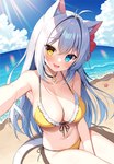 accessory ahoge beach bikini blue_eyes blush breasts cleavage clothed clothing female flower flower_in_hair front-tie_bikini front-tie_clothing front-tie_swimwear grey_hair hair hair_accessory heterochromia looking_at_viewer navel open_mouth plant ruffled_bikini sand selfie side-tie_bikini side-tie_clothing side-tie_swimwear sky solo string_bikini swimwear two-piece_swimsuit water yellow_eyes mauve_(artist) animal_humanoid cat_humanoid felid felid_humanoid feline feline_humanoid humanoid mammal mammal_humanoid 2023