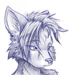 ambiguous_gender anthro biped blue_and_white blue_body blue_eyes blue_fur blue_hair blue_nose bust_portrait canid canine countershading digital_drawing_(artwork) digital_media_(artwork) eye_through_hair fox front_view fur hair inner_ear_fluff looking_away looking_down low_res mammal monochrome portrait sad side_view simple_background sketch solo thinking three-quarter_view translucent translucent_hair tuft white_background zombiecat