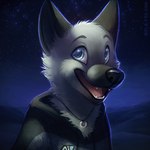anthro black_clothing black_hoodie black_nose black_topwear blue_eyes clothed clothing fangs fur glistening glistening_eyes grey_body grey_clothing grey_fur grey_hoodie grey_topwear head_tuft hill hoodie jewelry male necklace open_mouth open_smile outside pink_tongue sky smile solo star teeth text three-quarter_view tongue topwear tuft white_body white_fur mylafox canid canine fox mammal 1:1 2017 bust_portrait portrait url