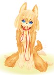 anthro blonde_hair blue_eyes blush breasts brown_body brown_fur collar featureless_breasts featureless_crotch female fur hair kneeling leash looking_at_viewer navel object_in_mouth simple_background solo tail tail_motion tailwag tan_body tan_fur text white_background tetetor-oort canid canine mammal 2018 hi_res japanese_text