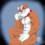 4_fingers abs aged_up anthro anthrofied biceps brown_body brown_fur button_ears closed_smile collar collar_only collar_tag eyebrows fingers floppy_ears fur fur_markings gloves_(marking) male markings mouth_closed multicolored_body multicolored_fur muscular muscular_anthro muscular_male nipples nude nude_anthro nude_male red_collar short_tail smile snaggle_teeth solo tail two_tone_body two_tone_fur white_body white_fur fabfelipe paw_patrol rubble_(paw_patrol) bulldog canid canine canis domestic_dog mammal mastiff molosser 1:1 2019 digital_media_(artwork) hi_res