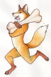 ambiguous_gender anthro bone nude running simple_background solo tail white_background alaitallon canid canine fox mammal 2010