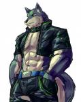 abs anthro belt clothed clothing collar fur kemono male muscular muscular_anthro muscular_male open_clothing open_shirt open_topwear pecs shirt simple_background solo topwear weedwolf canid canine canis mammal wolf 2018 absurd_res digital_media_(artwork) hi_res