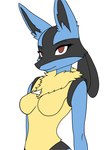 anthro female solo darexer nintendo pokemon canid canine generation_4_pokemon humanoid lucario mammal pokemon_(species) hi_res