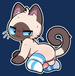 anthro balls bodily_fluids clothing femboy footwear footwear_only genitals male mostly_nude penis presenting_balls socks socks_only solo sweat tapering_penis plumflavor domestic_cat felid feline felis mammal siamese_cat alpha_channel