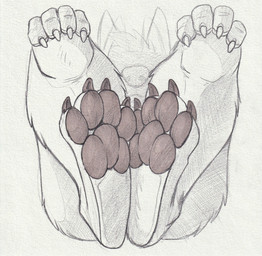 ambiguous_anthro ambiguous_gender anthro brown_pawpads claws feet finger_claws foot_focus front_view hair hand_on_knee hand_on_leg pawpads short_hair simple_background solo hufnaar canid canine mammal hi_res partially_colored sketch