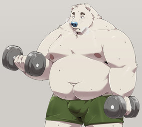 anthro belly big_belly bulge clothing exercise kemono male moobs navel nipples overweight overweight_male simple_background solo underwear workout jumperbear bear mammal polar_bear ursine 2022 absurd_res hi_res