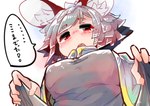 big_ears blush breasts capelet clothed clothing female grey_hair hair inner_ear_fluff low-angle_view medium_breasts open_mouth red_eyes shirt short_hair solo speech_bubble teeth text topwear tuft sabitare touhou nazrin animal_humanoid humanoid mammal mammal_humanoid mouse_humanoid murid murid_humanoid murine murine_humanoid rodent rodent_humanoid hi_res japanese_text translated