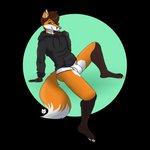 anthro black_clothing black_hoodie black_topwear briefs bulge clothing drawyourfursona hoodie hoodie/briefs_meme male simple_background sitting solo topwear underwear white_clothing white_underwear unknown_artist meme_clothing canid canine fox mammal 1:1 absurd_res alpha_channel hi_res meme