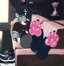 anthro barefoot black_body black_claws black_fur bottomwear claws clothed clothing eyewear eyewear_on_head feet foot_fetish foot_focus footwear fur furniture goggles goggles_on_head grey_body grey_fur inner_ear_fluff male pants pawpads pink_pawpads shirt shoes socks sofa solo topwear tuft white_body white_fur white_toes glazedvc tundra_(b0realis) canada_lynx felid feline lynx mammal absurd_res hi_res