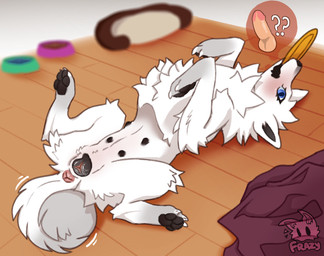 animal_genitalia animal_vulva anus belly_nipples canine_genitalia canine_vulva female feral frisbee genitals lying on_back on_ground pawpads paws playful requesting sex_request solo spread_legs spreading vulva frazy canid canine canis domestic_dog mammal nordic_sled_dog samoyed spitz