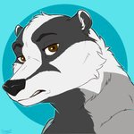 angry anthro brown_eyes looking_at_viewer male solo dunnowhattowrite badger mammal mustelid musteline 1:1 hi_res icon