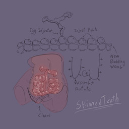 anthro bodily_fluids diagram digitigrade female genital_fluids internal long_tail organs ovaries simple_background solo tail text thick_thighs unusual_anatomy uterus vaginal_fluids x-ray_view skinnedteeth 1:1 colored_sketch concept_art digital_drawing_(artwork) digital_media_(artwork) english_text hi_res monochrome signature sketch