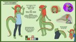 adolescent anthro clothed clothing color_swatch convenient_censorship dress female fully_clothed furgonomics green_body green_scales hair hoodie long_hair nude red_hair scales solo tail text topwear young robin_dassen mythology twin_dragons_(webcomic) kaya_(twin_dragons) dragon mythological_creature mythological_scalie scalie english_text hi_res model_sheet