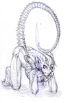 all_fours armor blade claws erection exoskeleton genitals horn looking_at_viewer male nude penis simple_background solo tail tail_blade weapon_tail white_background young demitri012 alien_(franchise) alien lagomorph mammal xenomorph greyscale monochrome