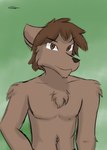 anthro brown_body brown_eyes brown_fur brown_hair cheek_tuft chest_tuft clothing facial_tuft fur green_background hair looking_at_viewer male simple_background solo stare tuft keesthewolf twokinds zen_(twokinds) canid canine canis mammal wolf half-length_portrait hi_res portrait