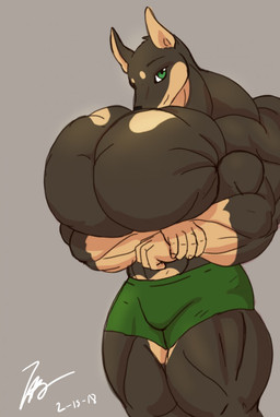 anthro big_muscles big_pecs boxers_(clothing) clothed clothing crossed_arms green_eyes grey_background huge_muscles huge_pecs hyper hyper_muscles hyper_pecs looking_at_viewer male muscular muscular_anthro muscular_male pecs simple_background solo standing underwear underwear_only sonicgamer canid canine canis dobermann domestic_dog mammal pinscher 2018 hi_res