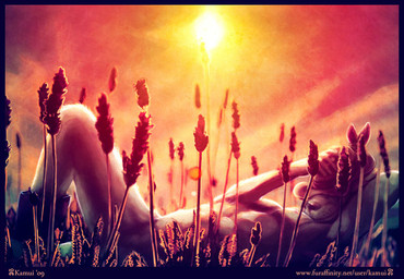 anthro biped black_border black_nose boots border clothing cowboy_hat day detailed_background flower footwear fur hand_behind_head hat headgear headwear lavender_(flower) lying male mostly_nude on_back outside plant shoes sky snout solo sun text white_body white_fur kamui_(artist) canid canine canis domestic_dog mammal 2009 digital_media_(artwork) signature url
