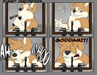 4_panel_comic anthro beanie beard clothed clothing comic_panel facial_hair fur growing_hair hat headgear headwear humor orange_body orange_fur shaving shirt sneeze speech_bubble t-shirt topwear yellow_body yellow_fur corginamedbruno canid canine canis domestic_dog herding_dog mammal pastoral_dog welsh_corgi absurd_res comic hi_res