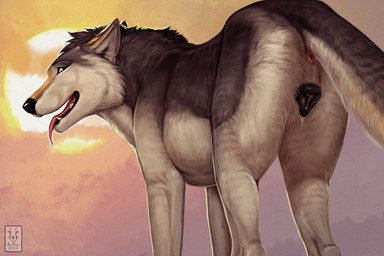 anatomically_correct anatomically_correct_anus anatomically_correct_genitalia anatomically_correct_vulva animal_genitalia animal_vulva anus black_nose black_vulva bodily_fluids brown_body brown_eyes brown_fur butt butt_pose canine_genitalia canine_vulva cloud digitigrade dog_tail eyebrows female feral fur genital_fluids genitals grey_body grey_fur grey_tail in_heat looking_at_viewer looking_back nude pink_tongue pose presenting presenting_anus presenting_hindquarters presenting_vulva quadruped simple_background solo sun tail tail_anus tongue tongue_out two_tone_tail vaginal_fluids vulva white_body white_fur white_tail anchee moof canid canine canis mammal wolf 2018