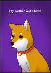 ambiguous_gender beady_eyes black_border black_eyes black_nose border collar collar_only countershade_face countershade_torso countershading dialogue feral front_view frown fur humor inner_ear_fluff multicolored_body multicolored_fur nude orange_body orange_fur profanity pun purple_background quadruped sad simple_background sitting snout solo text the_truth tuft two_tone_body two_tone_fur white_body white_countershading white_fur reikkuli diamond_head konami silent_hill mira_(silent_hill) canid canine canis domestic_dog mammal shiba_inu spitz 2011 digital_drawing_(artwork) digital_media_(artwork) english_text
