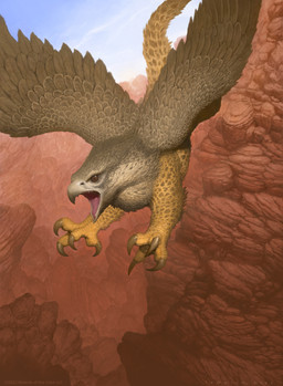 ambiguous_gender beak brown_body day feathered_wings feathers feet feral flying open_mouth outside rock solo tail talons toes wings john_tedrick hasbro magic:_the_gathering mythology wizards_of_the_coast avian gryphon mythological_avian mythological_creature 2021 absurd_res hi_res official_art
