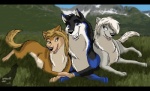 black_bars female feral group lying male quadruped tail lonewolf alpha_and_omega crest_animation_studios kate_(alpha_and_omega) lilly_(alpha_and_omega) canid canine canis mammal wolf letterbox