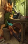 amputee anthro bamboo bench book breasts cape clothing digitigrade disability female furniture magic magic_hand magic_limbs missing_arm neck_tuft sitting solo table tuft under_boob honovy cassandra_de_luca canid canine mammal maned_wolf 2021 hi_res