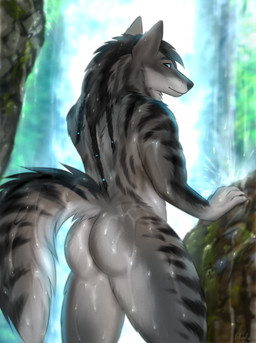 anthro big_butt black_nose black_stripes blue_eyes butt fur grey_body grey_fur looking_at_viewer looking_back male markings mouth_closed nude nude_anthro nude_male raised_tail smile smiling_at_viewer solo striped_body striped_fur striped_markings striped_tail stripes tail tail_markings teasing teasing_viewer teasing_with_butt water waterfall wet white_body white_fur phaulis canid canine mammal hi_res