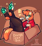 3_toes anthro biped box cardboard cardboard_box claws clothed clothing container crossdressing feet femboy fingers fur green_eyes green_pawpads hair hoodie looking_at_viewer male orange_body orange_fur orange_hair pawpads paws simple_background solo sparkles stuck text toes topwear nagifur nagi_(nagifur) domestic_cat felid feline felis mammal digital_media_(artwork) english_text pixel_(artwork)