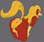 anthro anus beak butt feathers genitals hair long_hair long_tail male penis presenting presenting_anus red_body red_feathers tail yellow_beak yellow_body yellow_feathers justbig_red glori_gamebird avian bird chrysolophus galliform golden_pheasant phasianid absurd_res hi_res