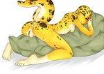 anthro anus female genitals hug hugging_object hugging_pillow nude pillow presenting presenting_anus presenting_pussy pussy sleeping solo spread_legs spreading miphassl gecko lizard reptile scalie hi_res